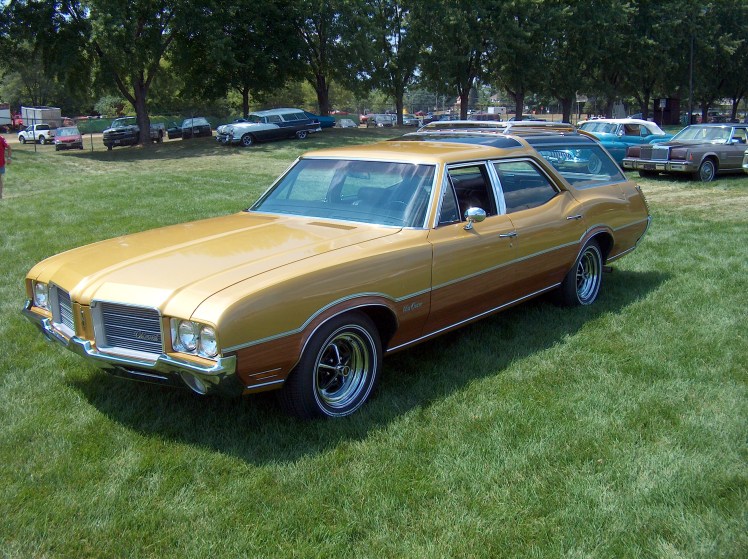 1971 Vista Cruiser